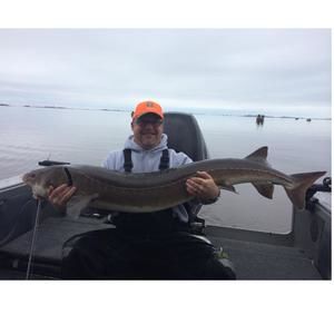 Meet your Posher, Brian